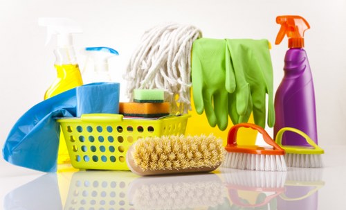 Inspection of a carpet cleaning issue and service notes