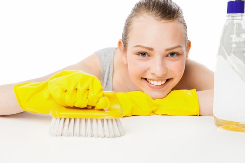 Example carpet cleaning job in a typical SW20 flat or house