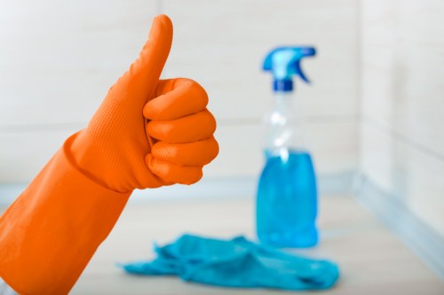 Local cleaner providing home cleaning services in SW20